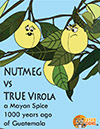 nutmeg-cacao-cocoa-chocolate-flavoring-seasoning-spice-compared-Virola-guatemalensis-MayanToons-comiic-cover