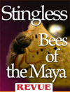 40 Stingless bees of the Maya REVUE article insects Nicholas Hellmuth April 2012 100