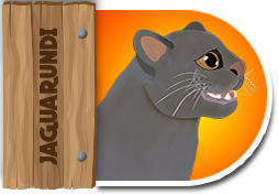 Jaguarundi